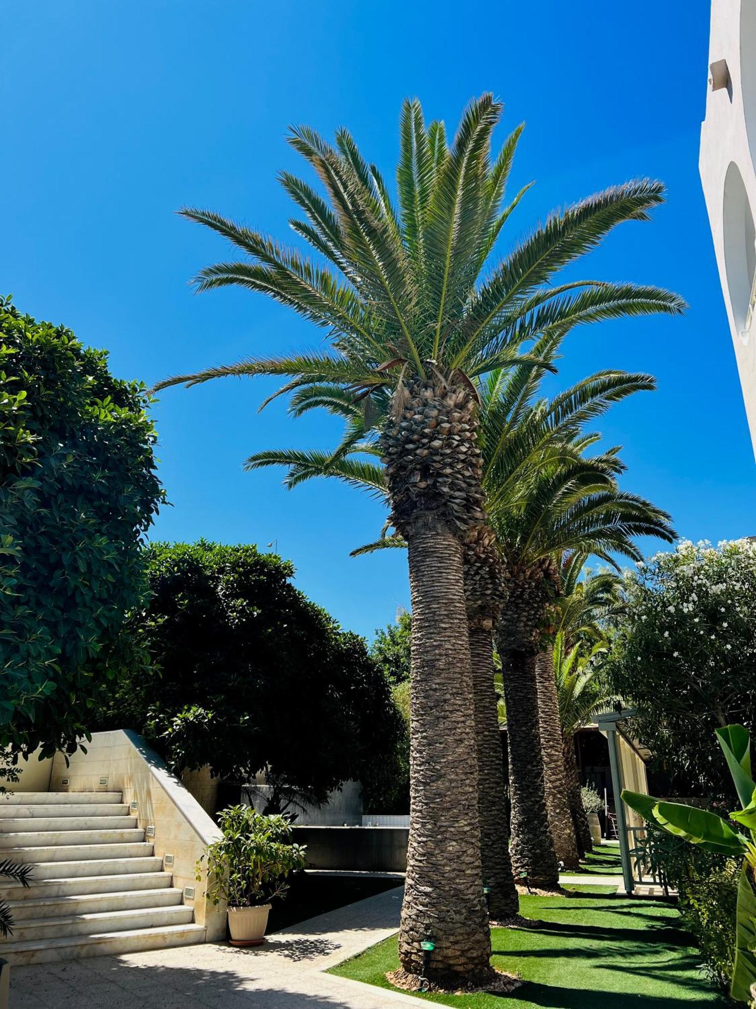 Karteros Hotel מראה חיצוני תמונה